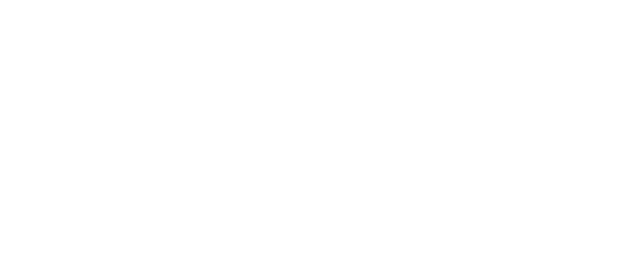 American Evolution - Virginia to America | 1619-2019